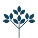 Sapling icon