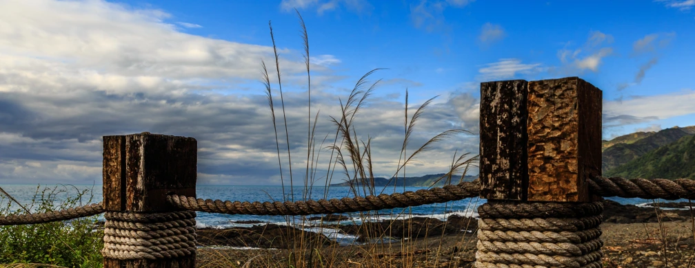 Kaikoura Posts